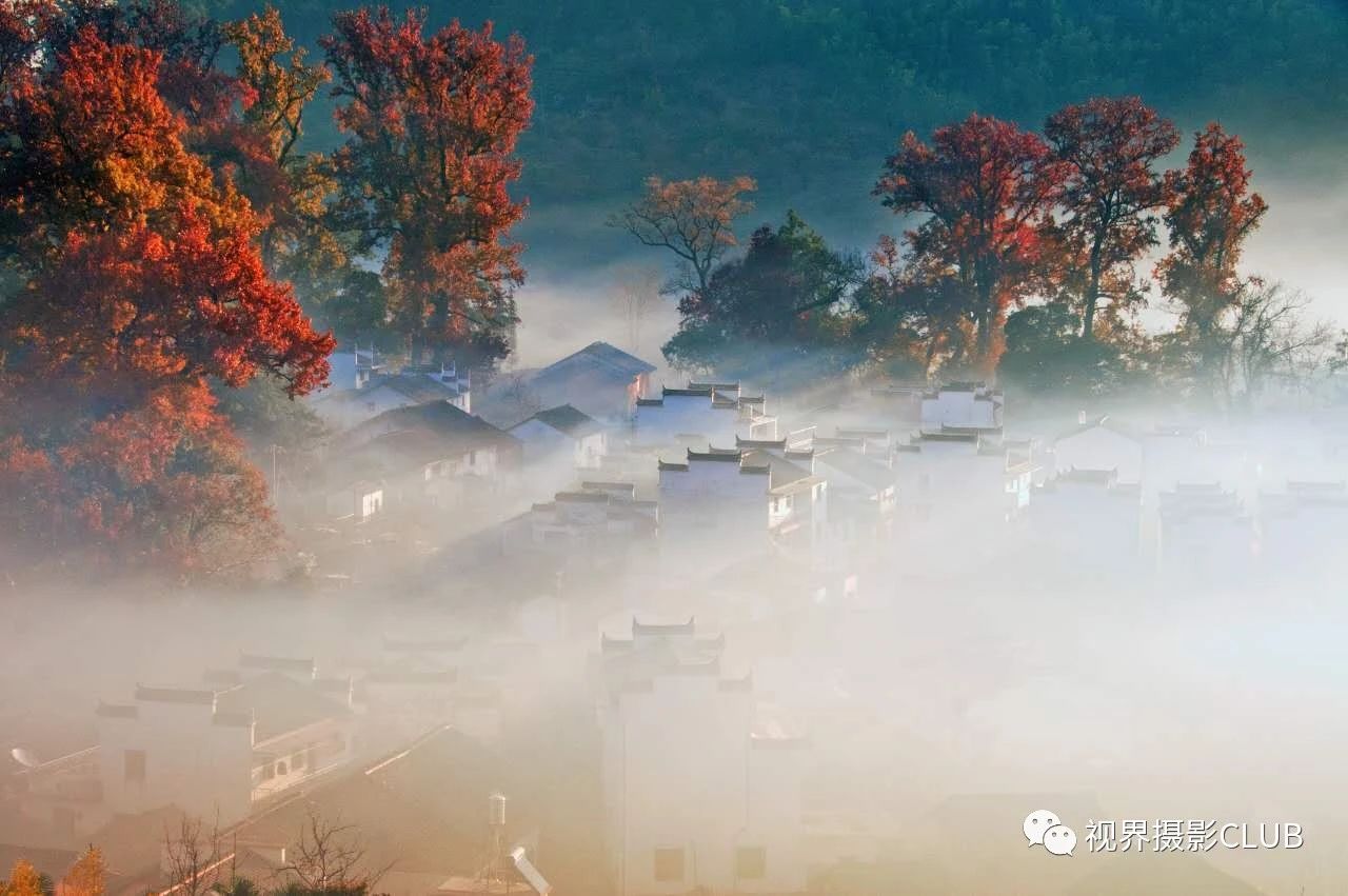 皖南秋色”婺源石城紅楓、燈籠柿之鄉6天攝影